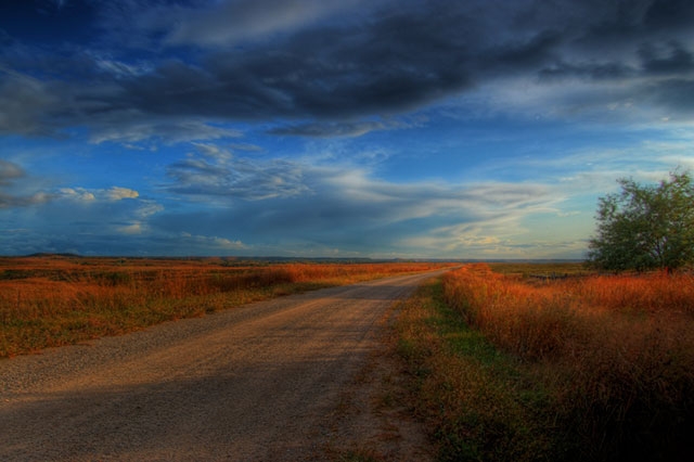 Rural dirt road with golden fields on the side under a dramatic blue sky with clouds.