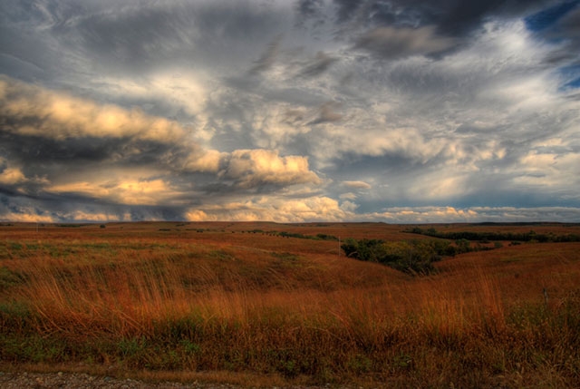 Open field or prairie landscape with golden grasses under a dramatic cloudy sky at sunset.