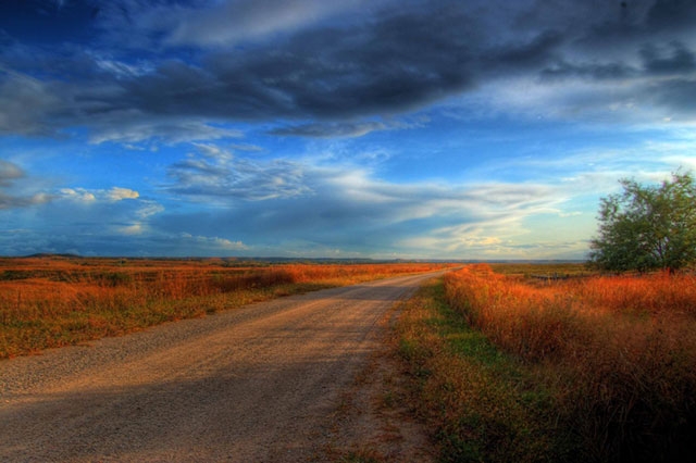Rural dirt road winding through autumn-colored fields under a dramatic blue sky with clouds.