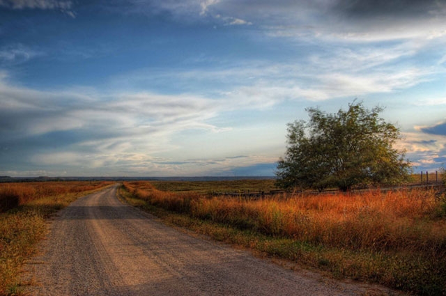 Country dirt road with shrubs or small trees alongside it under a partly cloudy blue sky.