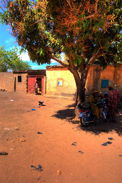 An outdoor scene showing a tree with buildings or structures in an earthen-colored environment, possibly a rural village.