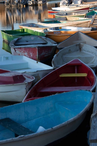 Several rowboats or small boats in various colors including blue and red, lined up on what appears to be a dock or shoreline.