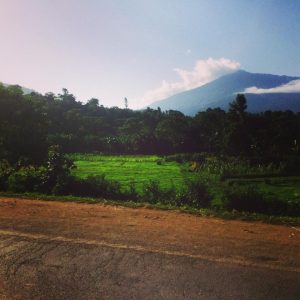 the country side with a mountain in the background