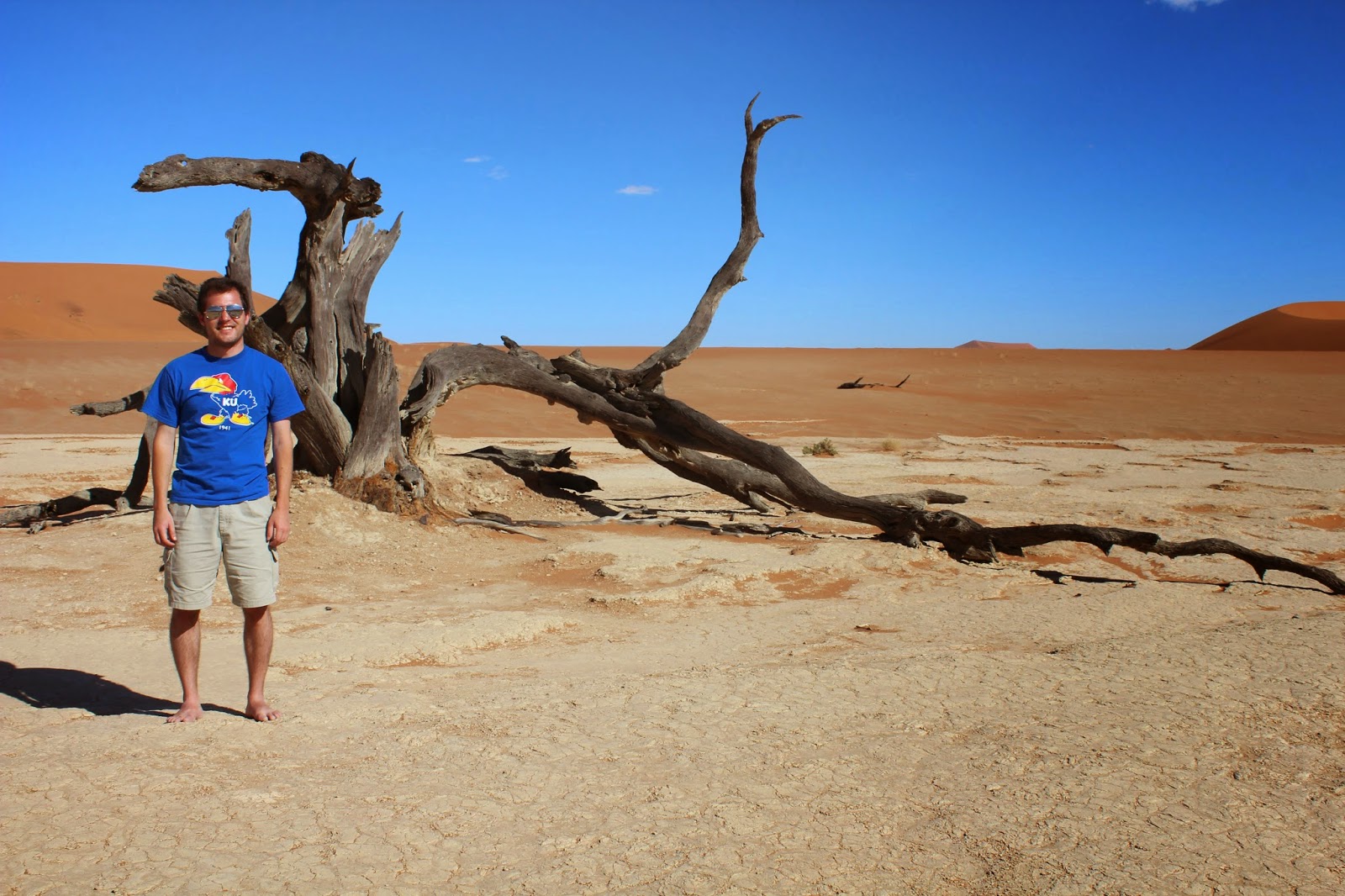 a man standing in the desert near a tree