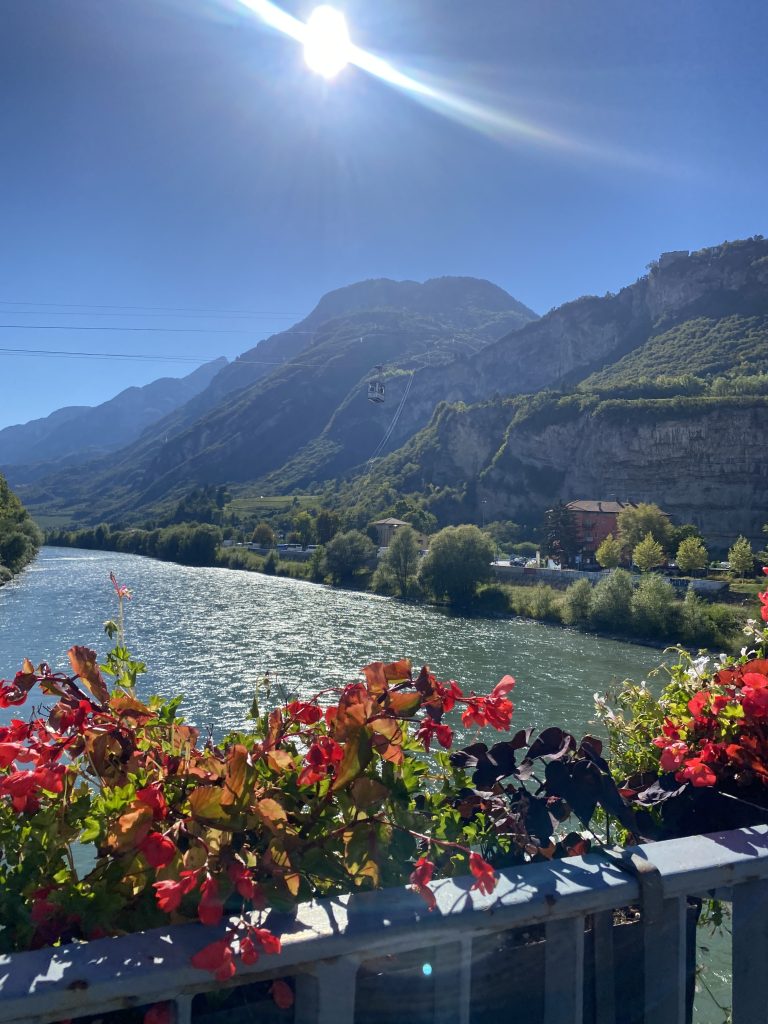 Colorful flowers with mountains and a river in the background