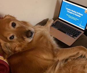 Mellie sitting next to an open laptop.