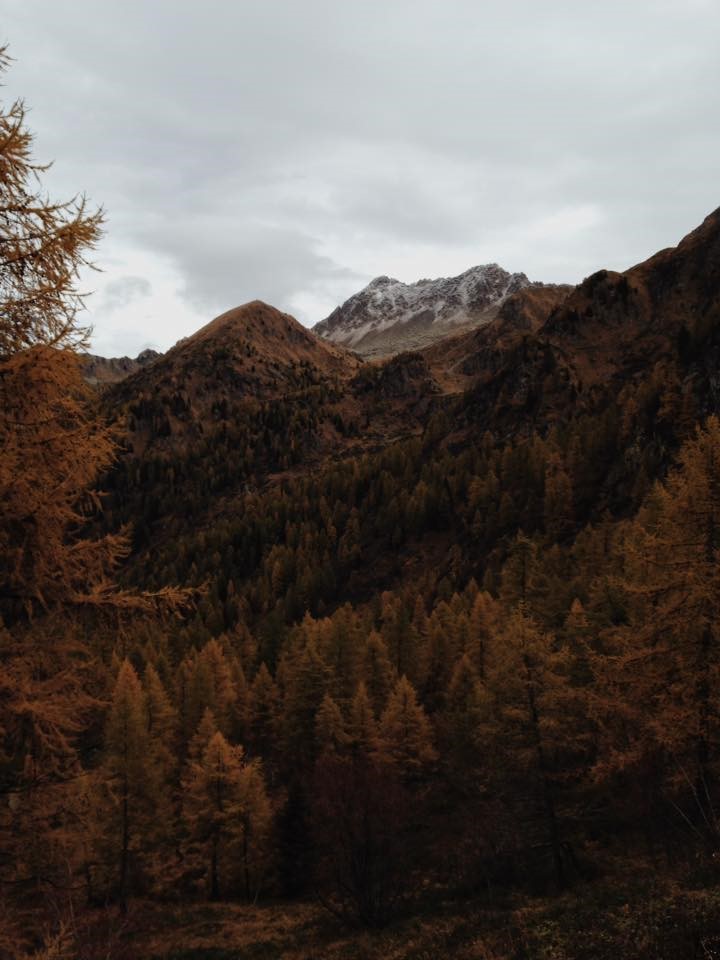 Mountainside with fall foliage.