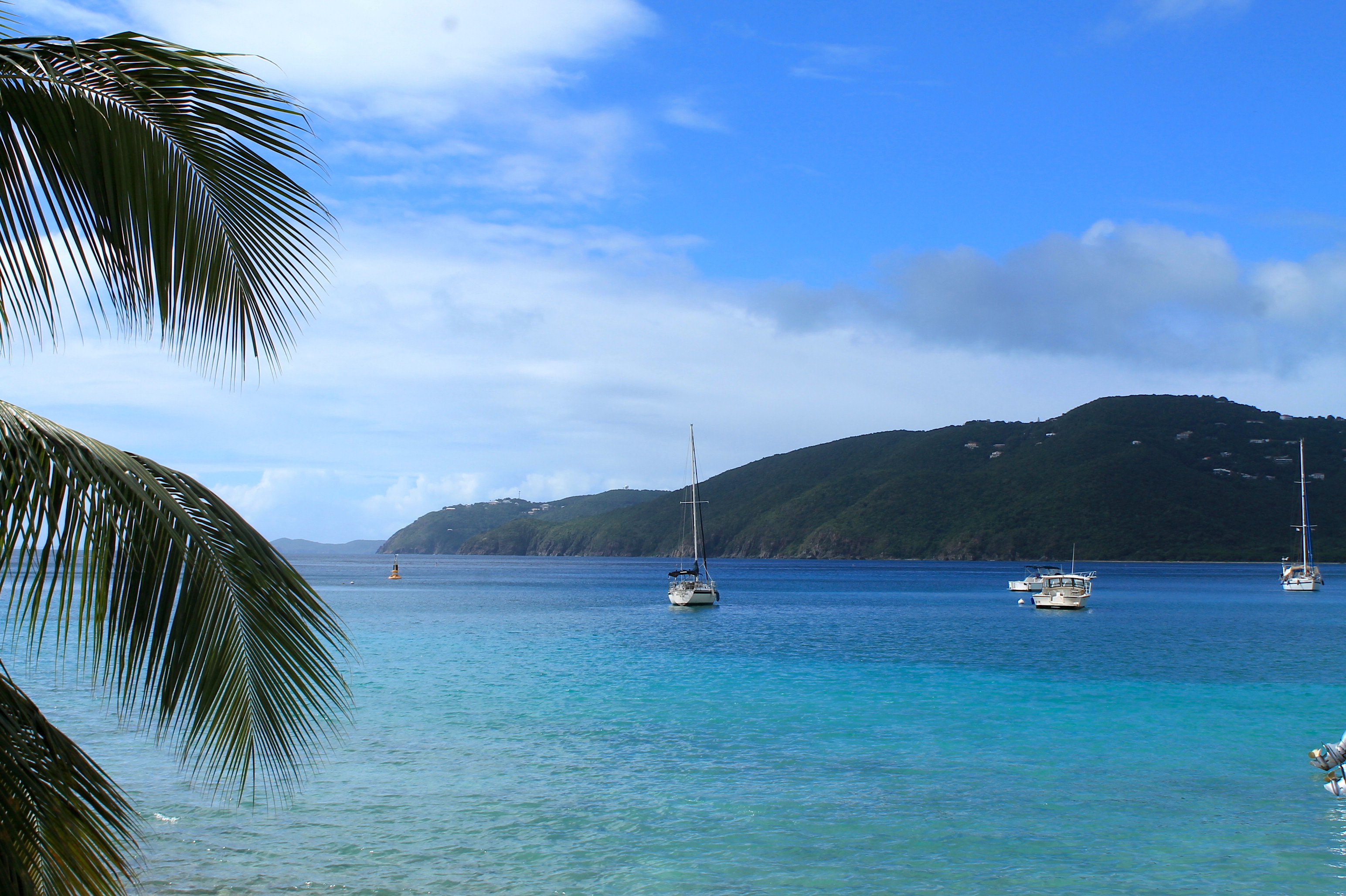 Studying Biodiversity Law in the Virgin Islands KU Law Blog