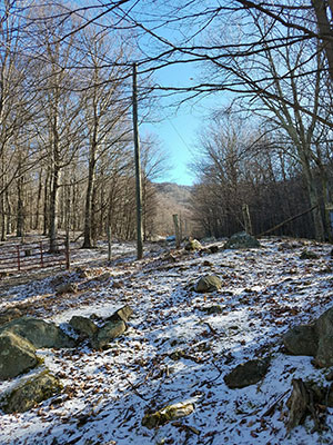 View from a winter walk