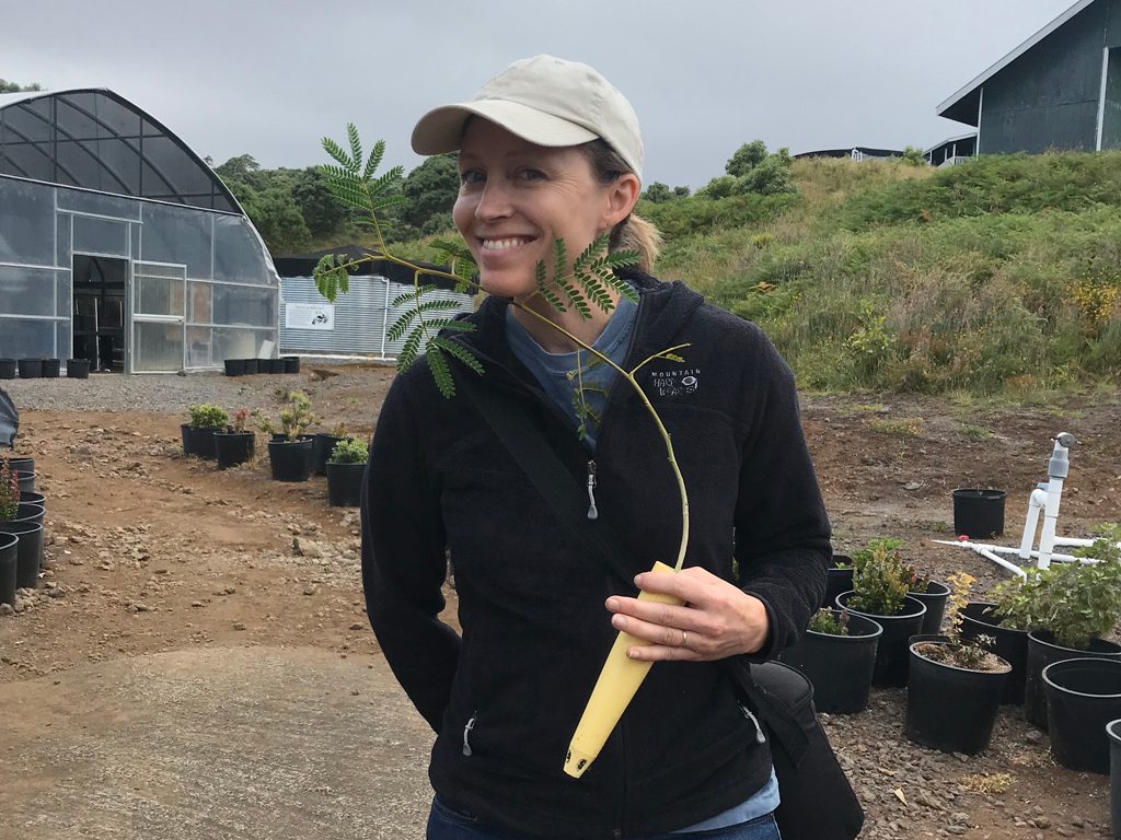 Professor Uma Outka holds a koa tree sapling in Hawaii.