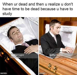A meme to go with this post. Text reads: "When ur dead and then u realize u don't have time to be dead because you have to study."